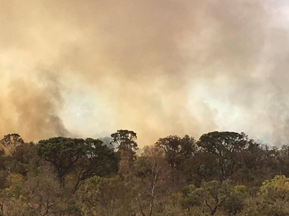 IncÃªndio florestal atingiu o Parque Burle Marx, na regiÃ£o do Noroeste, no Distrito Federal â Foto: FlÃ¡via Alvarenga/ TV Globo