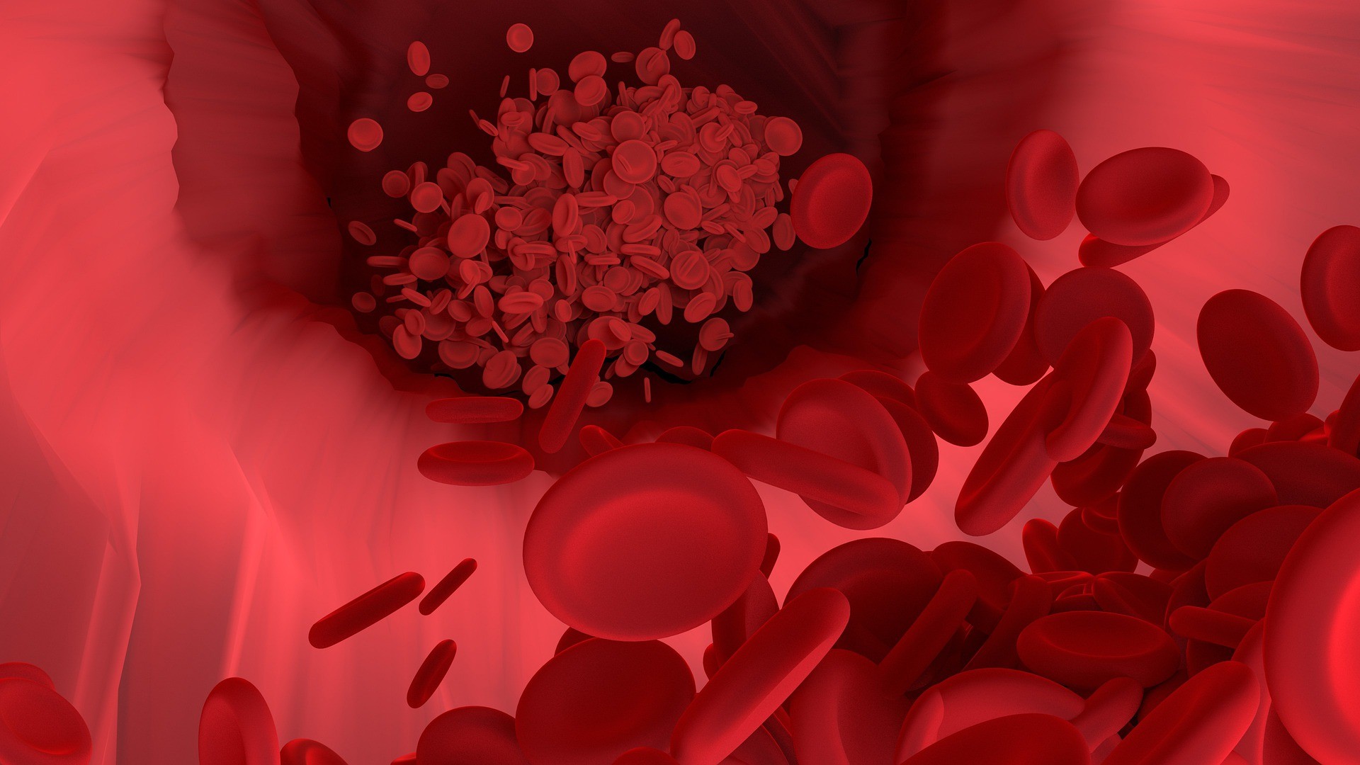 Células-tronco do sangue geneticamente modificadas foram usadas no experimento para tentar bloquear o HIV  (Foto: Pixabay)