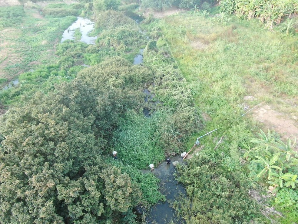 Suspeitos foram vistos por drones enquanto manuseavam a droga &agrave;s margens do Rio S&atilde;o Francisco &mdash; Foto: Divulga&ccedil;&atilde;o/SSP