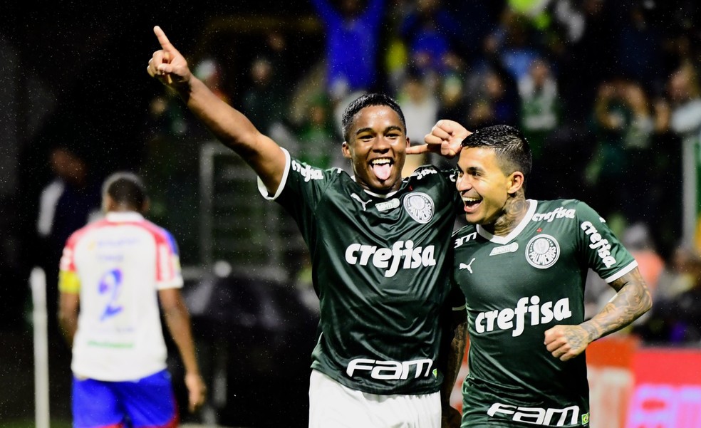 Endrick e Dudu comemoram gol em Palmeiras x Fortaleza — Foto: Marcos Ribolli