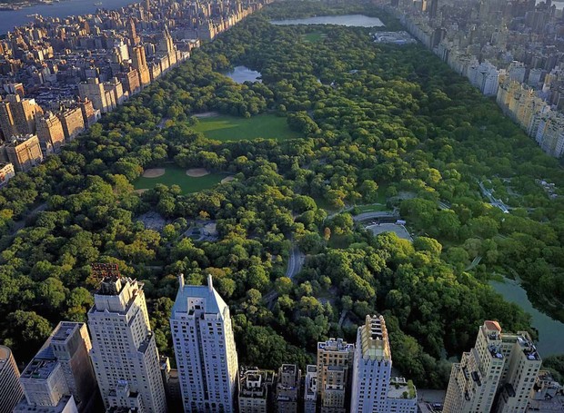 Central Park, em Nova York (Foto: Divulgação)