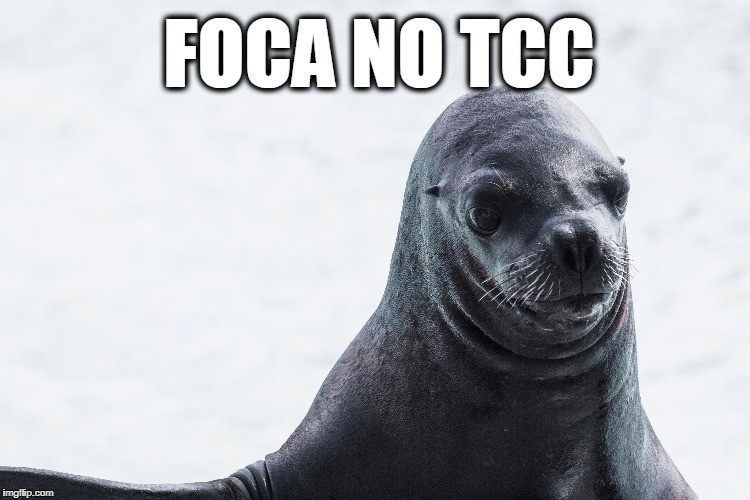 Foca no TCC (Foto: Pexels/ karsten madsen/ Creative Commons)