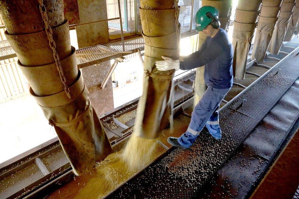 Agropecuária foi o único setor com saldo positivo em abril, no Paraná — Foto: Jaelson Lucas/AEN