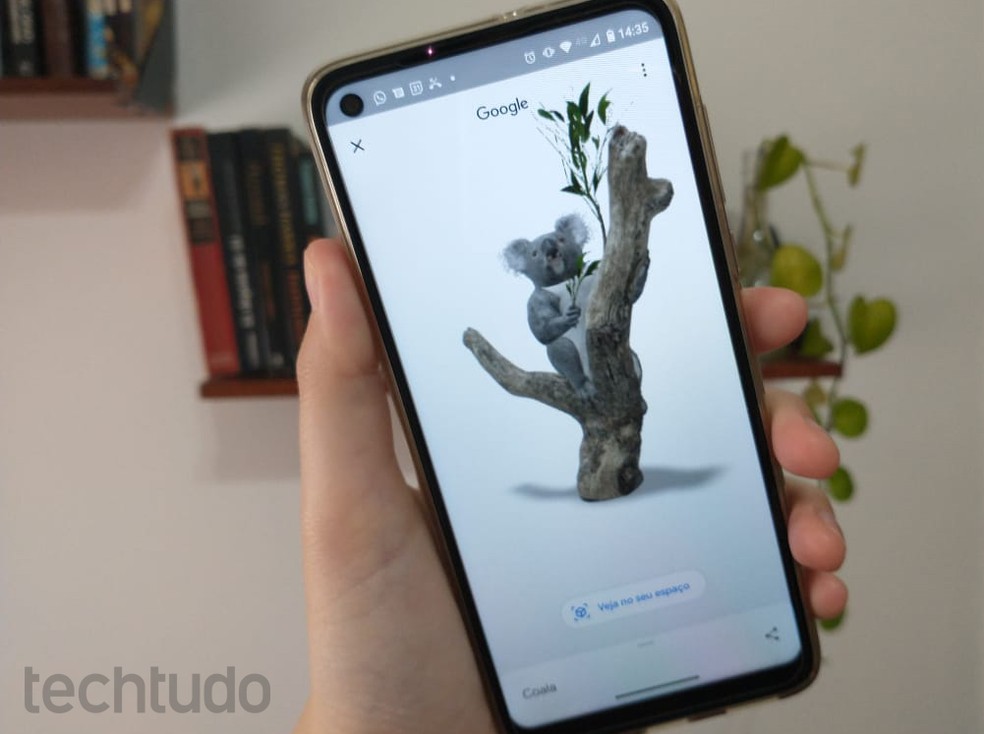 Animações em 3D do Google trazem novos modelos de animais australianos; veja como acessar  — Foto: Clara Fabro/TechTudo