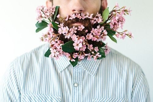 barba florida (Foto: Reprodução/flickr)