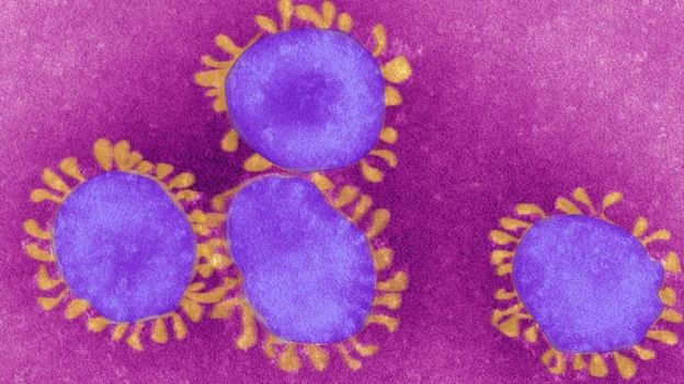 BBC - Teme-se que o novo coronavírus passe a circular também como uma enfermidade sazonal (Foto: Getty Images via BBC)