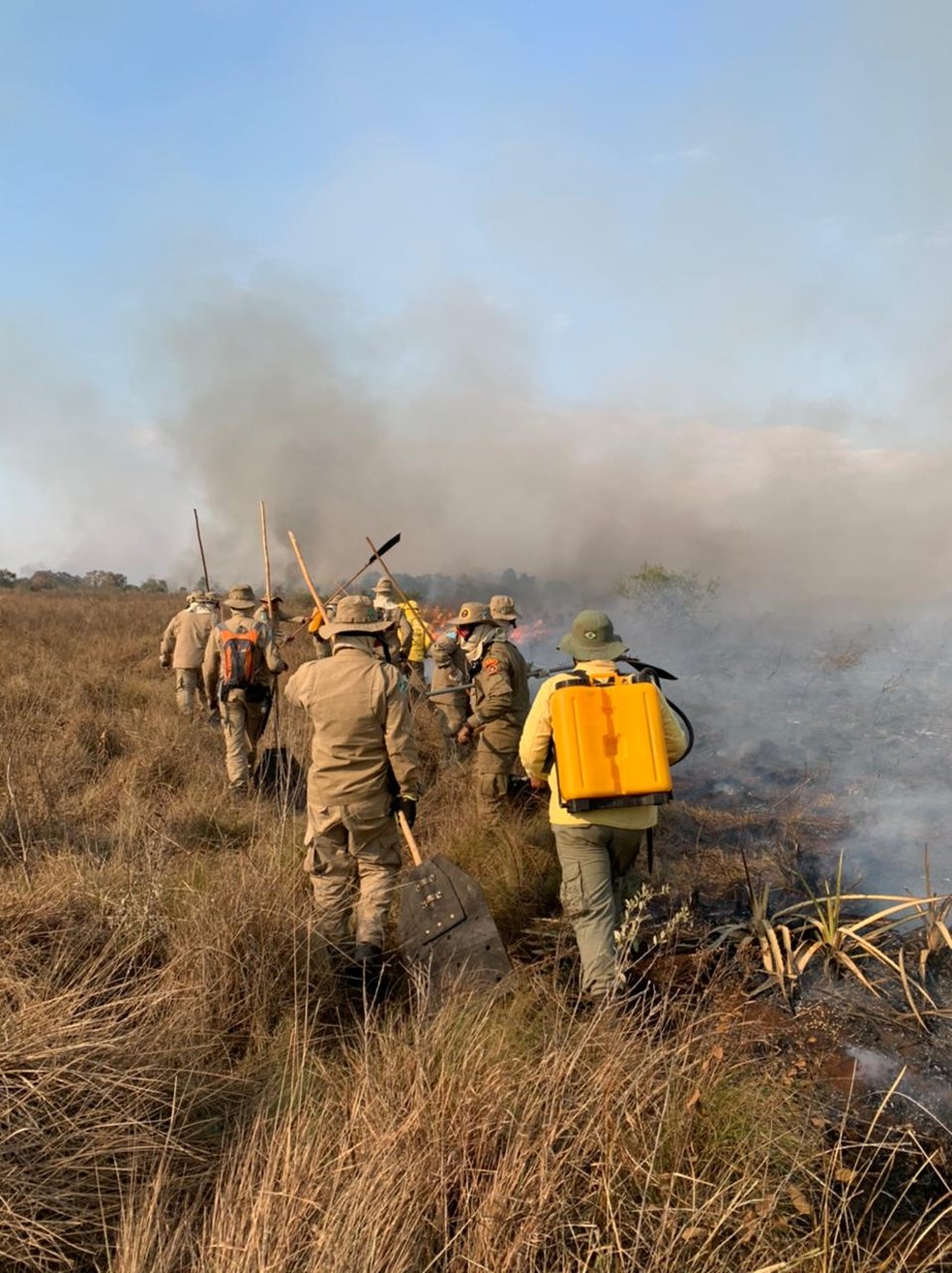 Corpo de Bombeiros em combate a incêndio na região de Bonito — Foto: Corpo de Bombeiros/Divulgação