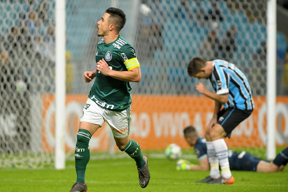 Grêmio foi batido pelo Palmeiras, na Arena (Foto: Ricardo Rímoli/Futura Press)