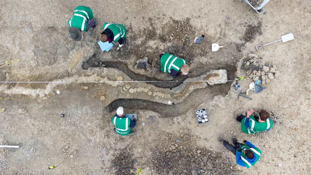 Paleontólogos trabalham em fóssil no Reino Unido — Foto: Anglian Water/Matthew Power Photography via REUTERS