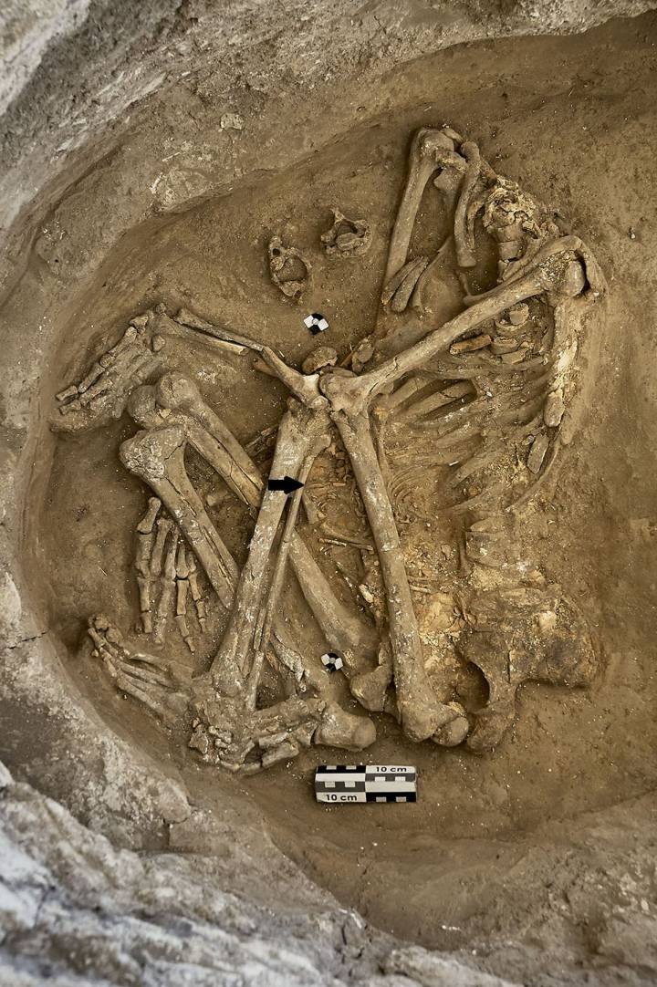 Fósseis encontrados abaixo de uma casa de Çatalhöyük (Foto: ÇATALHÖYÜK RESEARCH PROJECT/JASON QUINLAN)