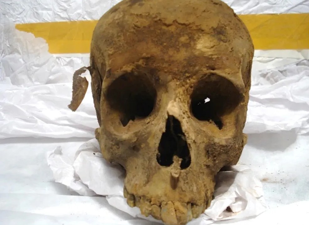 Crânio original de D.Pedro I, exumado para a pesquisa arqueológica em 2012 — Foto: Reprodução/Valter Diogo Muniz