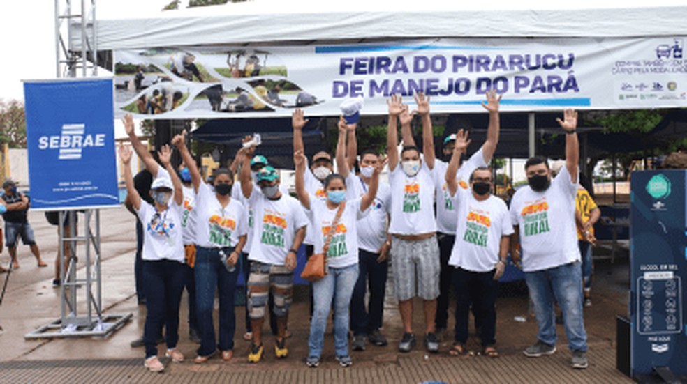 2ª Feira do Pirarucu de Manejo do Pará será realizada em novembro em Santarém — Foto: Sebrae Pará