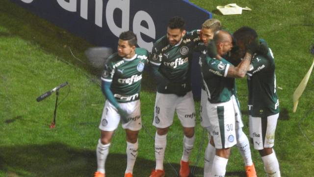 Palmeirenses comemoram gol de Borja