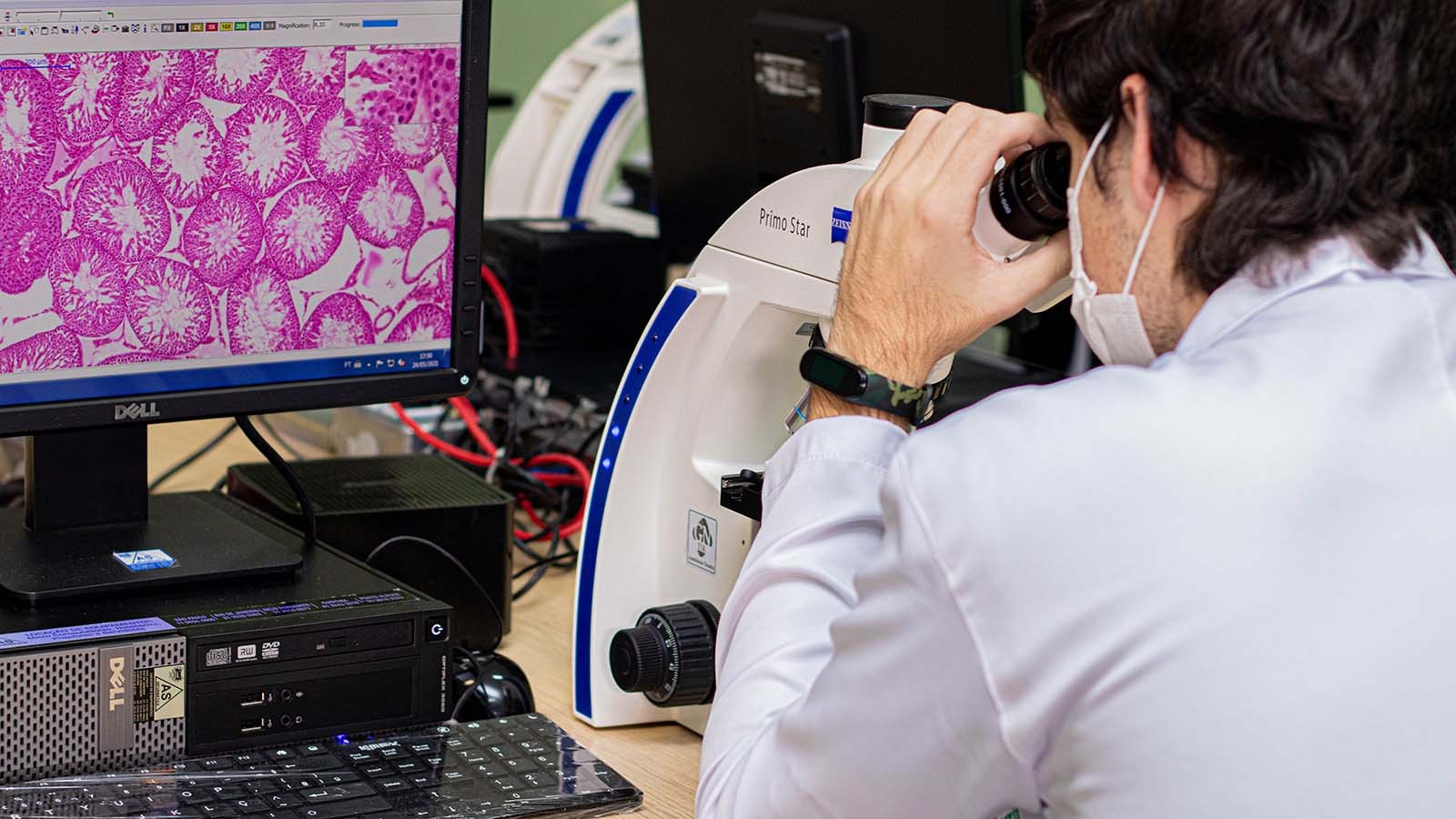 Empresas de Feira de Santana divulgam vagas de emprego e estágio para esta segunda-feira