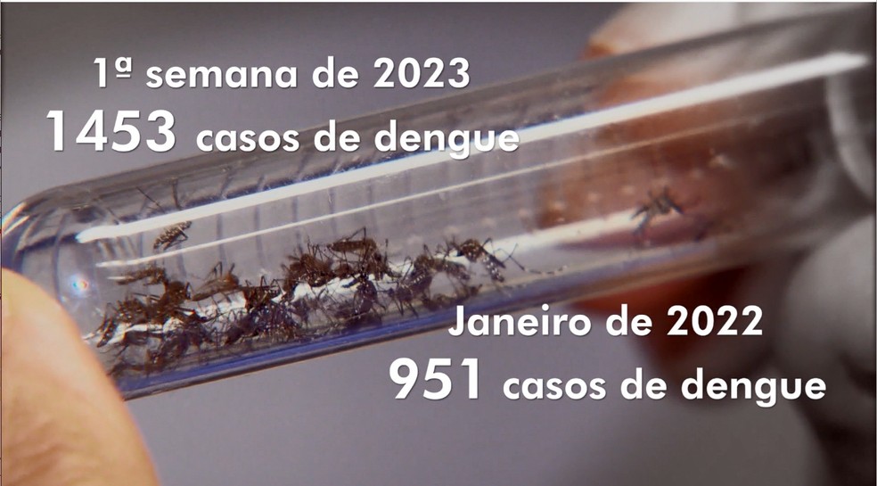 Espírito Santo registra aumento de casos de dengue na primeira semana de janeiro — Foto: Reprodução/TV Gazeta