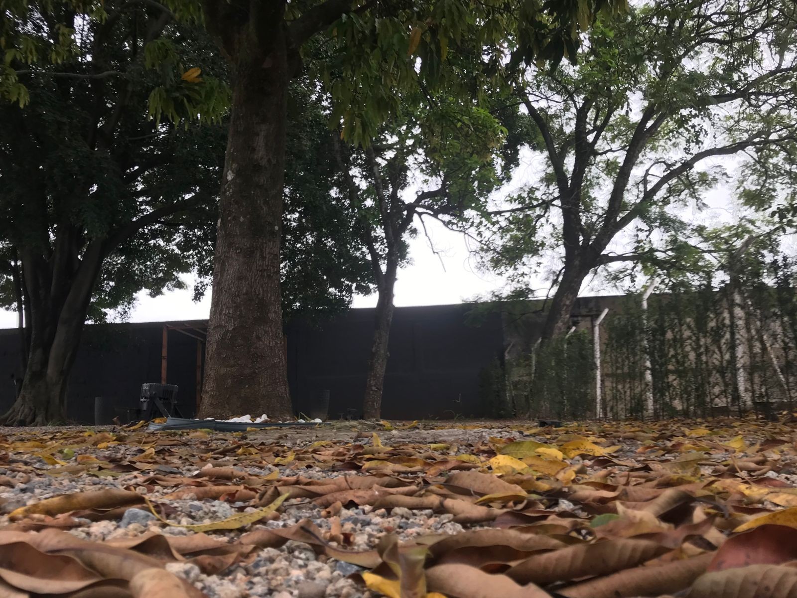 Outono deve ter chuva abaixo da média e queda de temperatura a partir de maio em Sorocaba