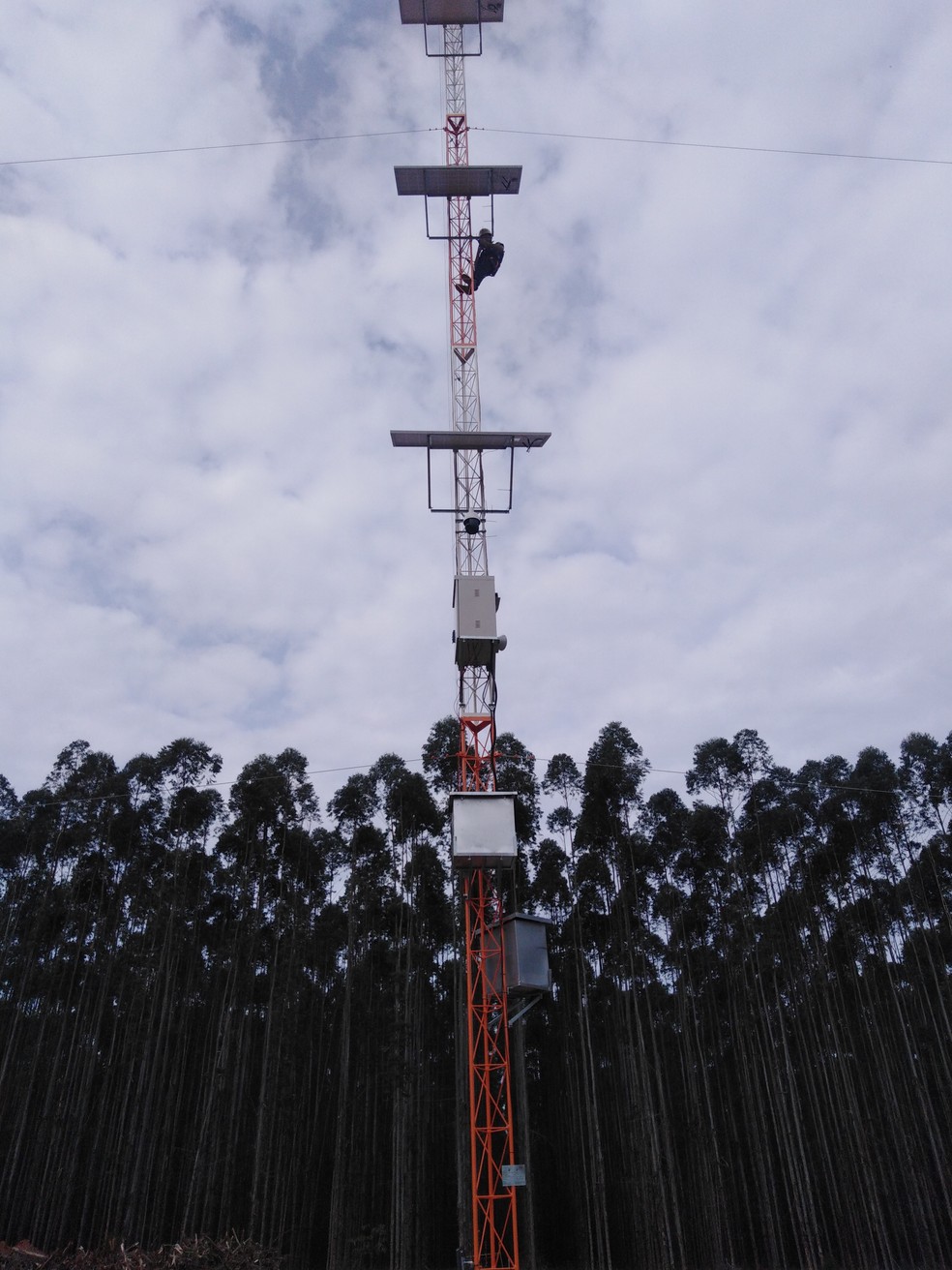 A empresa estuda a área e instala torres com câmeras de monitoramento que alcançam 15km de distância em raio (aproximadamente 70 mil hectares) — Foto: Divulgação