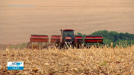 Confira o que será destaque no Jornal do Campo deste domingo (3)