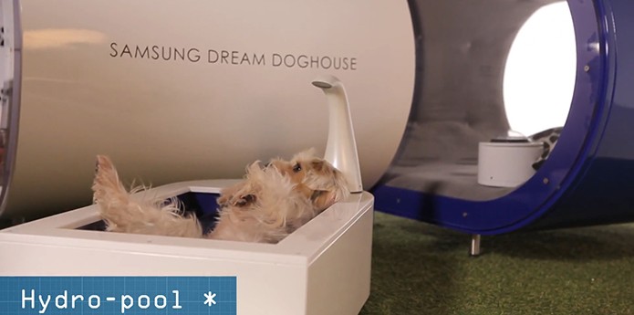 Piscina de hidroterapia para o pet (Foto: Divulgação/Samsung)