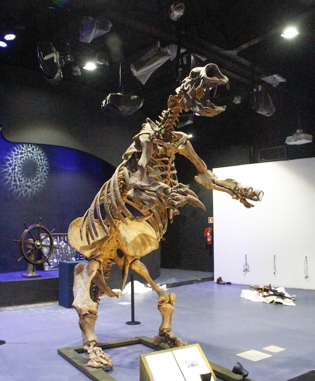 No museu arqueológico será possível ver de perto um fóssil de 3,7 metros de uma preguiça-gigante (Foto: Bruno Rezende / Divulgação)