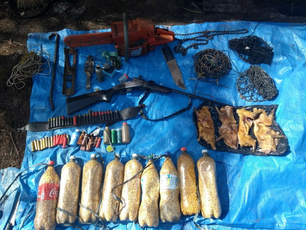Ferramentas e armas foram apreendidas no terreno (Foto: Divulgação/Polícia Militar Ambiental)