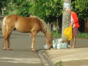 😆 Já viu um cavalo sorrindo?! - Agropecuária Querência