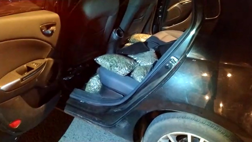 Drogas estavam dentro de um carro que foi abordado na SP-501 — Foto: Polícia Rodoviária