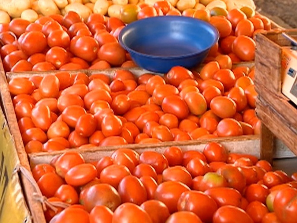 Quilo do tomate custa R$ 2,50 em Ouro Preto do Oeste e R$ 2,00 em Rolim de Moura (Foto: Reprodução/TV Fronteira)