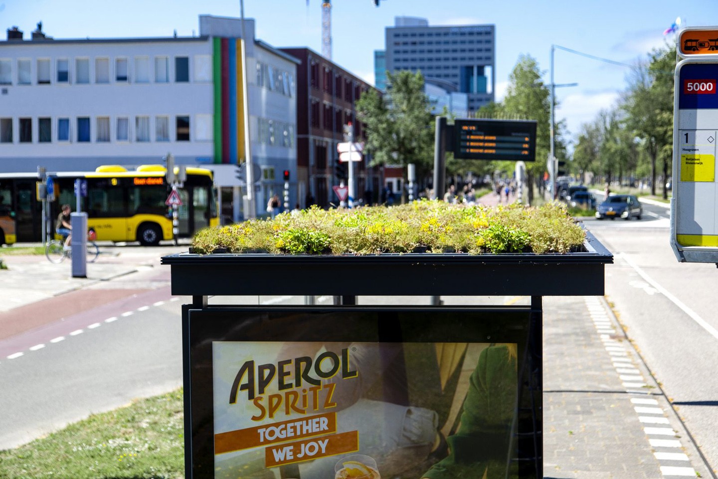 Mais de 300 pontos de ônibus ganham telhados verdes em cidade na Holanda (Foto: Divulgação)