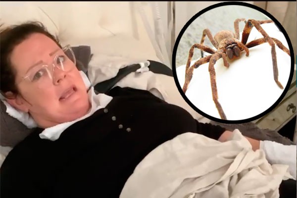 Melissa McCarthy e uma aranha da mesma espécie que a picou (Foto: reprodução e divulgação)