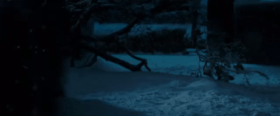  (Foto: Reprodução)