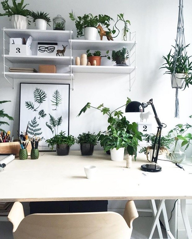 Macramê para plantas: 5 ideias de como usar na decoração (Foto: Reprodução/ Pinterest)