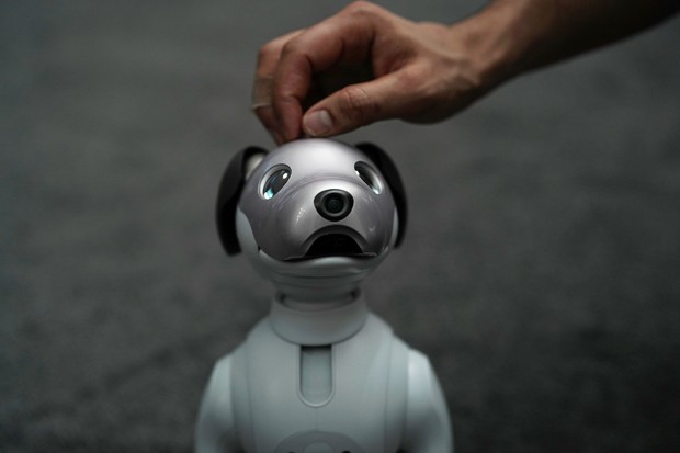 Aibo e outros robôs trazem novas tendências para o cotidiano (Foto: Alex Wong/Getty Images)