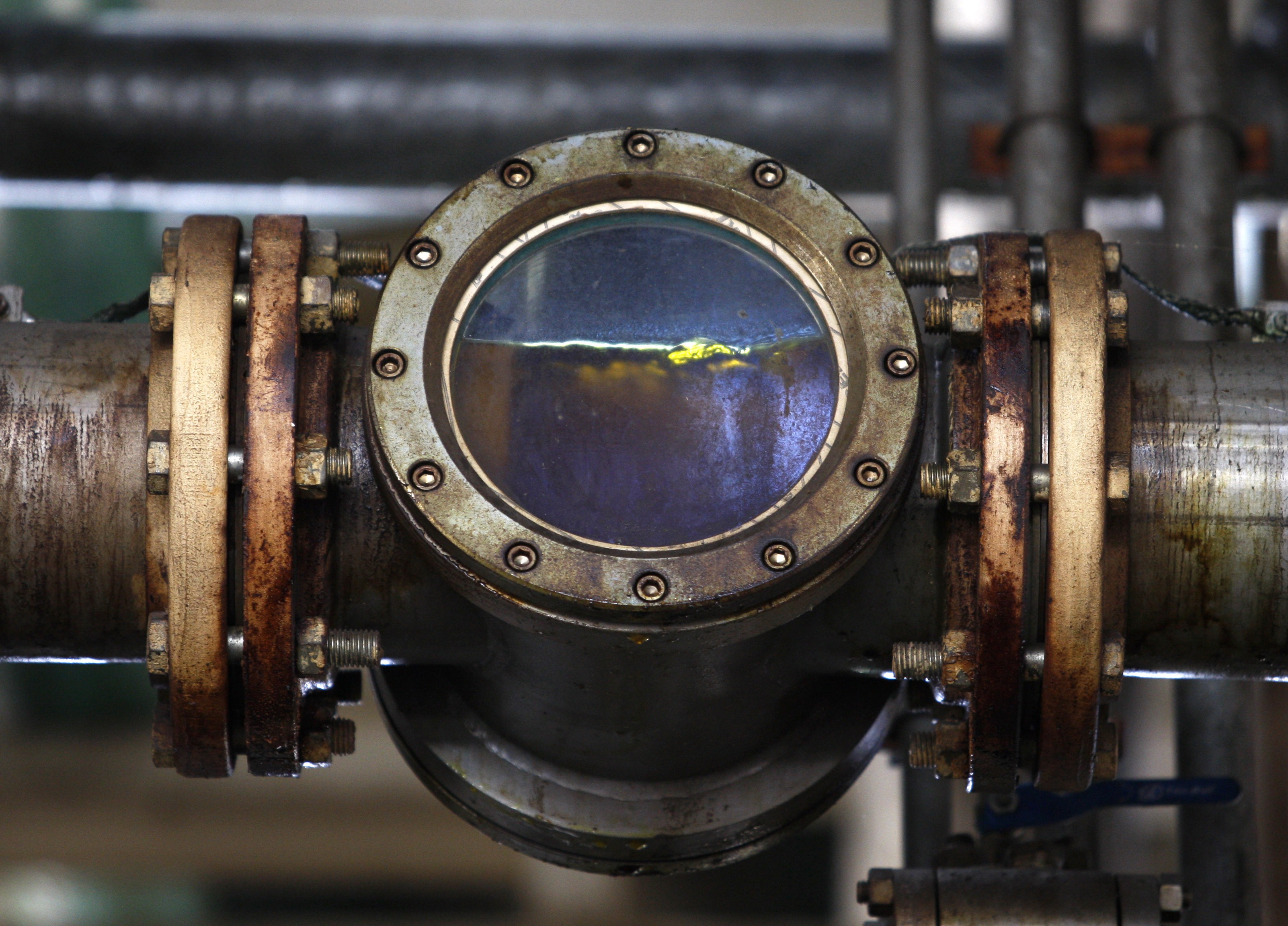 Biodiesel é visto através de tubo em unidade produtora em San Lorenzo  (Foto: REUTERS/Enrique Marcarian)