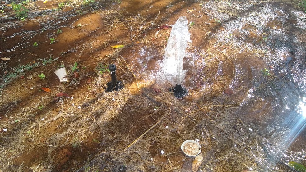 Medidores de água foram vandalizados em Palmas — Foto: Divulgação/BRK Ambiental