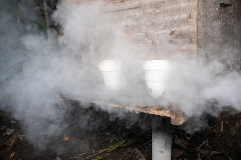 Colmeia sendo fumegada: material carburante "acalma" as abelhas e facilita trabalho de colheita do própolis — Foto: Celso Tavares/G1