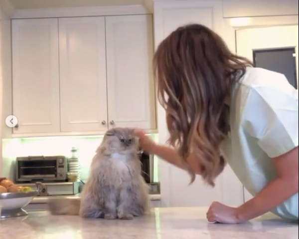 A atriz Kate Beckinsale no vídeo em que aparece com o gato de estimação utilizando uma máscara higiênica (Foto: Instagram)