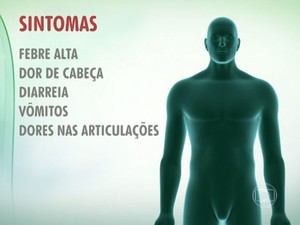 Sintomar da febre chikungunya (Foto: Reprodução/TV Globo)