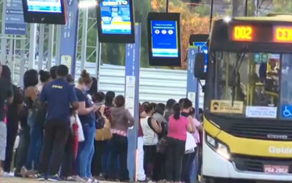 Ônibus circulam lotados no primeiro dia de decreto que determina que passageiros só viajem sentados na Grande Goiânia — Foto: Reprodução/TV Anhanguera