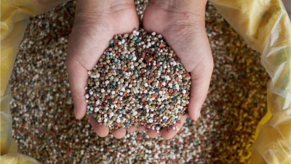 País importa 85% dos fertilizantes que utiliza e Rússia responde por 23% das importações. Potássio é o que mais preocupa e 'certamente vai haver desabastecimento mundial' desse nutriente, dizem analistas — Foto: Getty Images/BBC