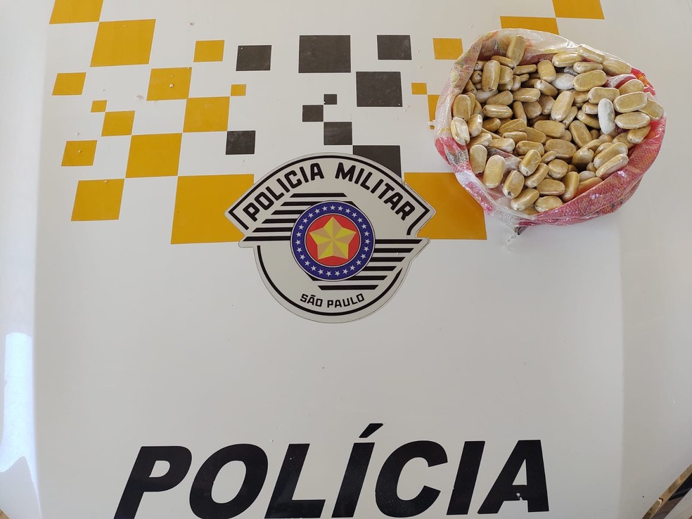 Apreensão foi no quilômetro 309 da Rodovia Engenheiro João Baptista Cabral Rennó, a SP-225, em Santa Cruz do Rio Pardo (SP) — Foto: Polícia Rodoviária/Divulgação