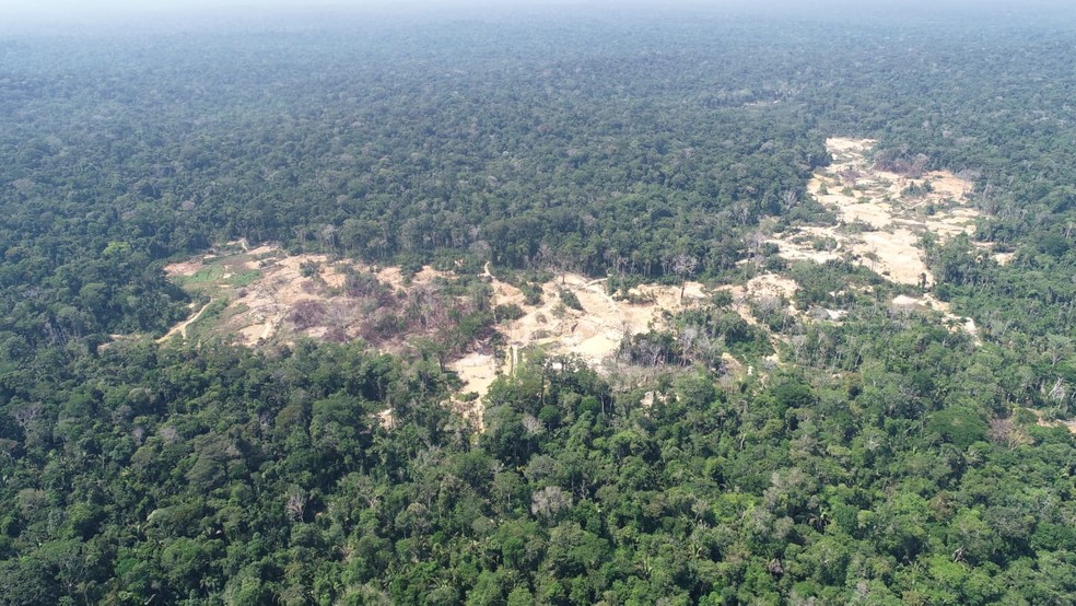 Área desmatada em garimpo ilegal na Terra Indígena Sete de Setembro em Rondônia. — Foto: PF/Reprodução