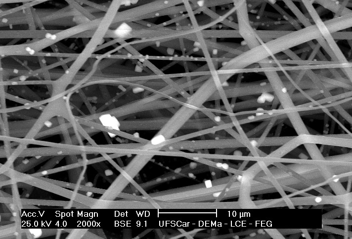 Imagem de microscopia eletrônica da fibra com partículas aderidas (Foto:  LCA-UFSCar)