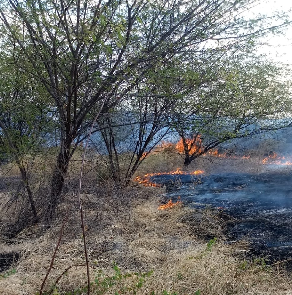 Corpo de Bombeiros registra incêndio de grandes proporções na bacia do Açude Itans, em Caicó — Foto: Divulgação
