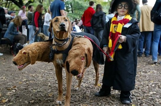 Fantasia de Halloween: Harry Potter (Foto: funmary.com)