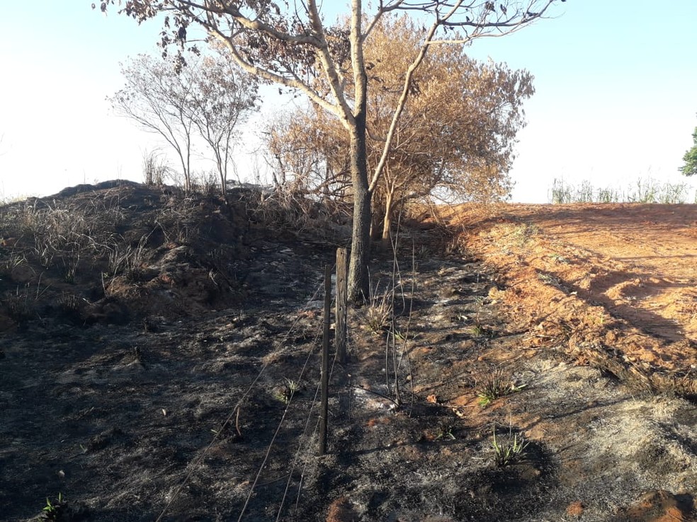 Queimada para limpeza em fazenda em Regente Feijó danificou vegetação nativa — Foto: Polícia Militar Ambiental