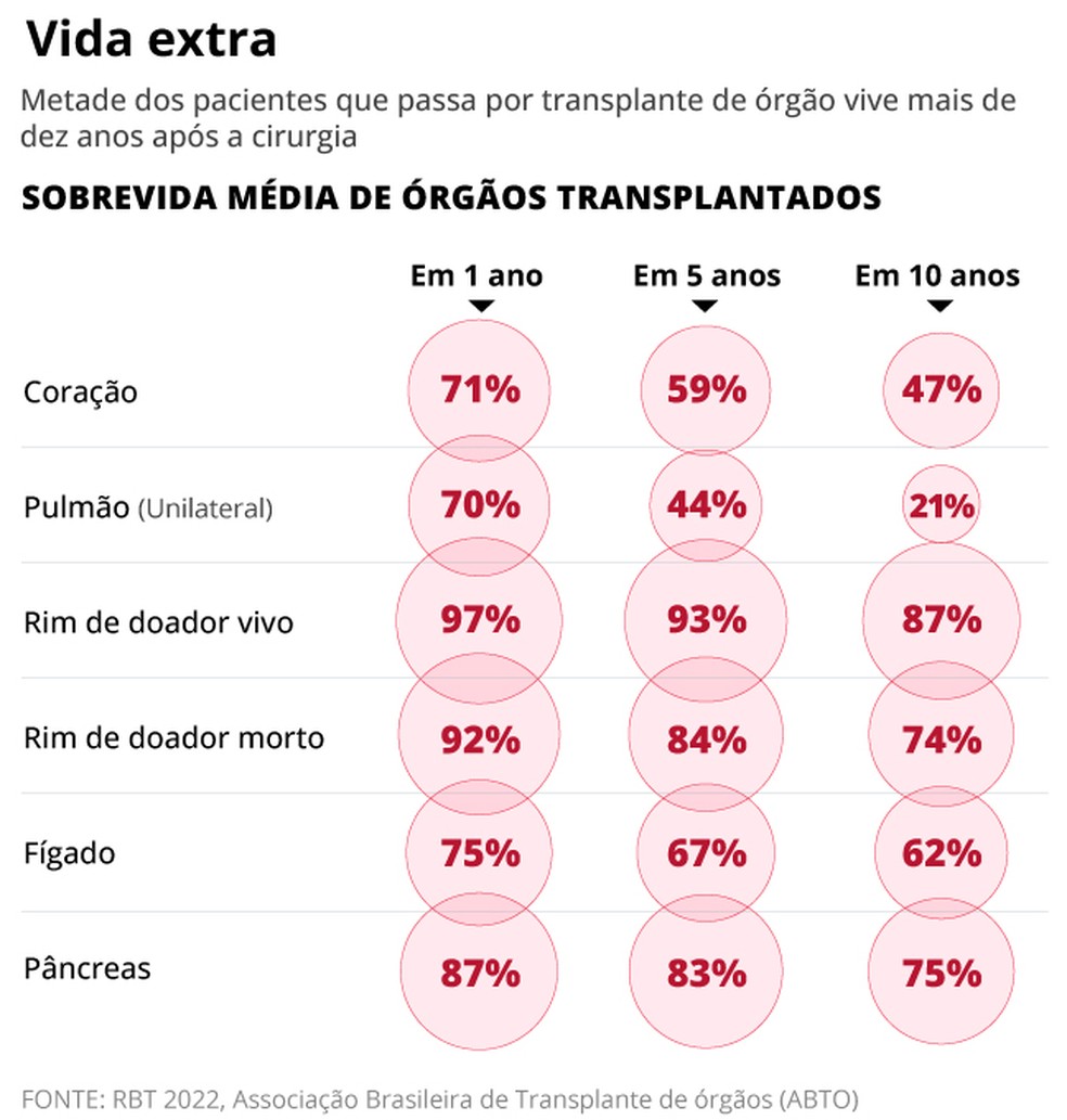 Maior sobrevida entre os órgãos transplantados é a do rim de doador vivo — Foto: Editoria de arte