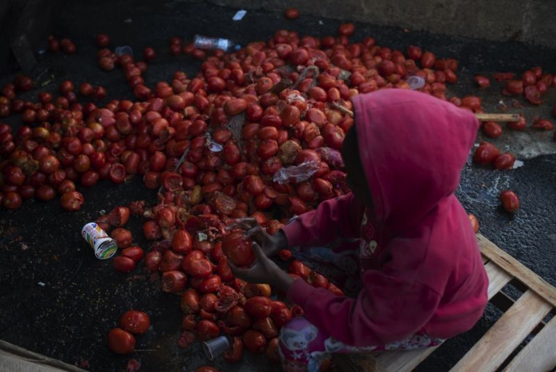 Criança busca tomates comestíveis no lixo no Rio de Janeiro em agosto de 2021; pandemia piorou problema da fome em famílias brasileiras (Foto: Getty Images via BBC)