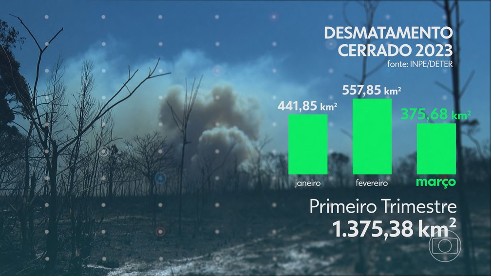 O desmatamento no Cerrado nos 3 primeiros meses de 2023 — Foto: JN