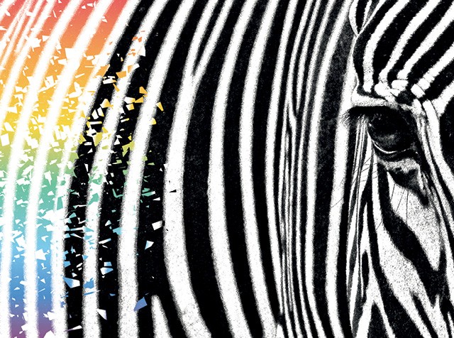 Mara Zepeda é uma das fundadoras do movimento Zebras Unite, que reúne empreendedores e financiadores em busca de modelos alternativos ao capital de risco (Foto:  )